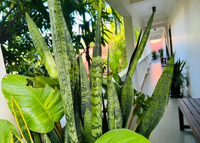 Chamraoen's * Siem Reap